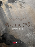 请问你看到我的系统了吗