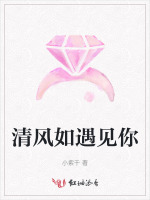 清风如遇见你