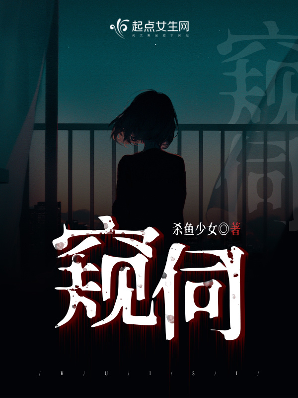 窥伺小说封面
