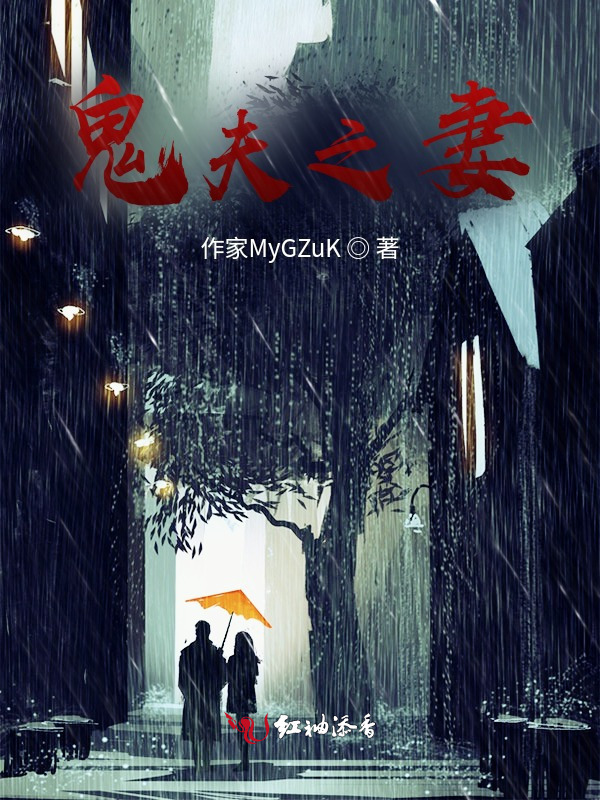 他之妻小说封面