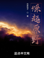 《燎起原野》封面