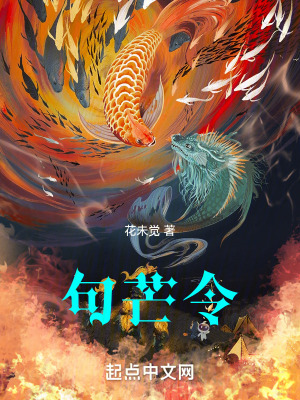 《节气权谋》封面