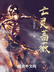 《西部战争史诗风》封面