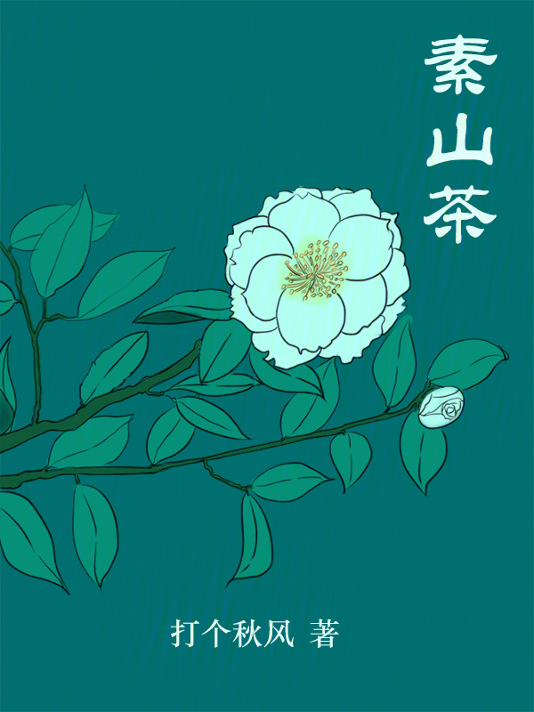 素山茶小说封面