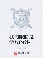 我的眼睛是游戏的外挂