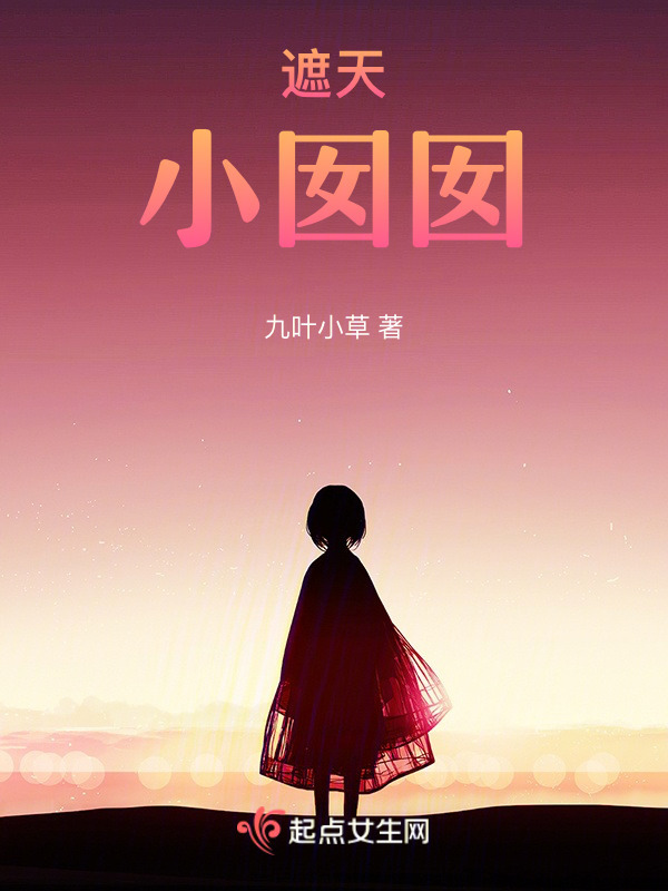 遮天：小囡囡小说封面