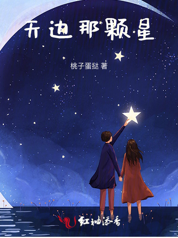 天边那颗星小说封面