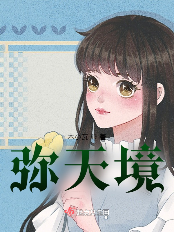 弥天境小说封面