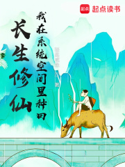 《无垢丹药》封面