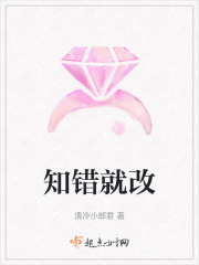 《黑客总裁宠妻》封面