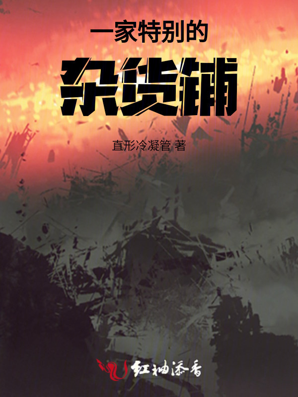 一家特别的杂货铺小说封面