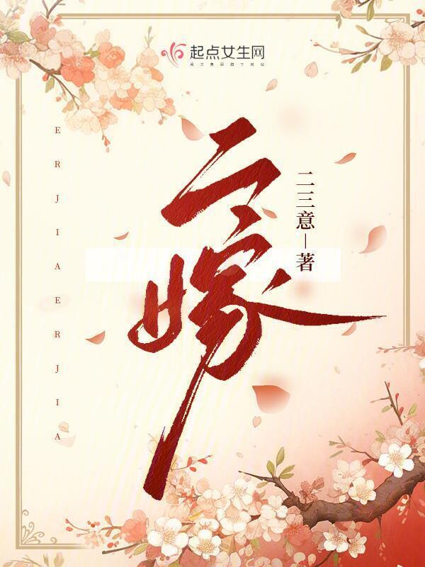 二嫁小说封面