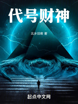 《代号财神》封面