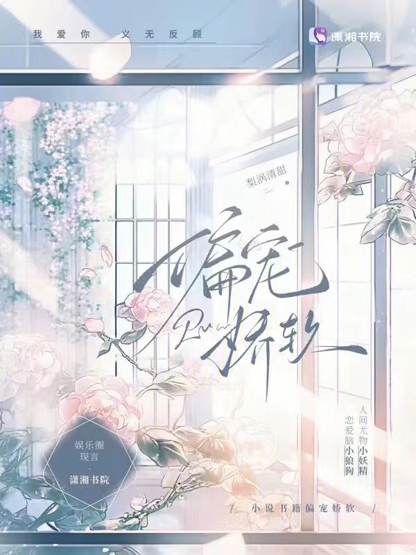 偏宠娇软小说封面