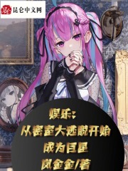 《纸鸢计划》封面