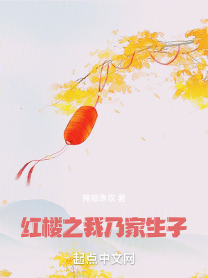 《红楼之我乃家生子》封面