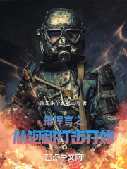 《指挥官之从饱和打击开始》封面