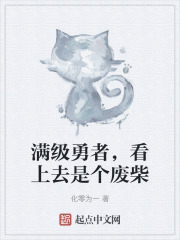 满级勇者，看上去是个废柴