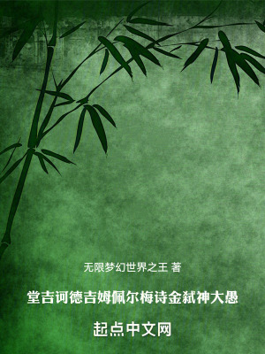 《堂吉诃德吉姆佩尔梅诗金弑神大愚》封面