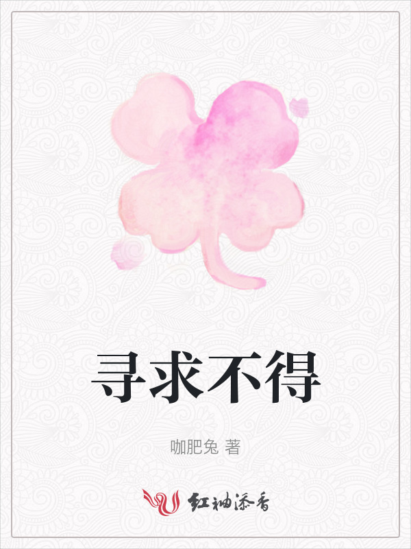 寻求不得小说封面