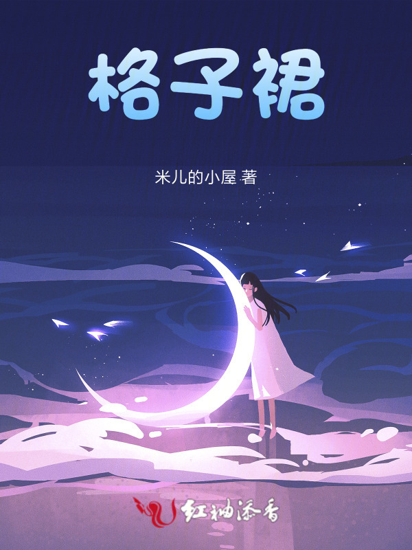 格子裙小说封面