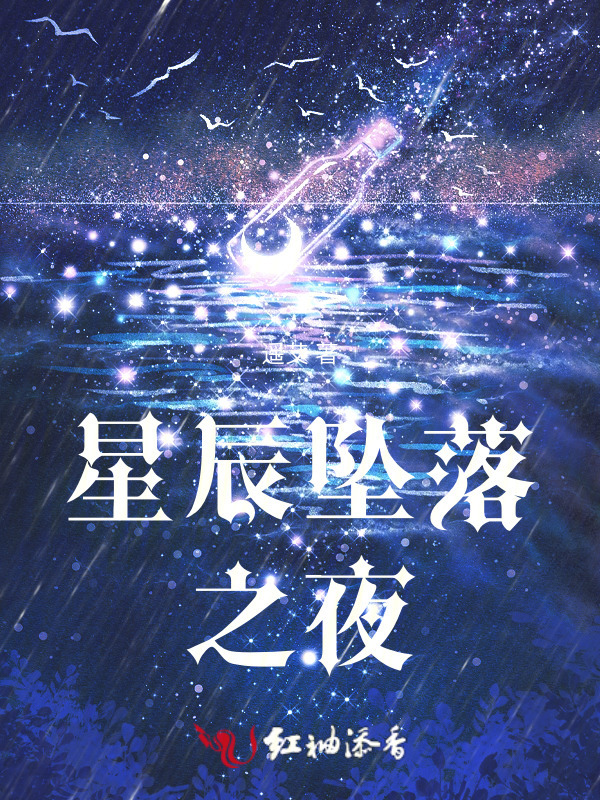 星辰坠落之夜小说封面