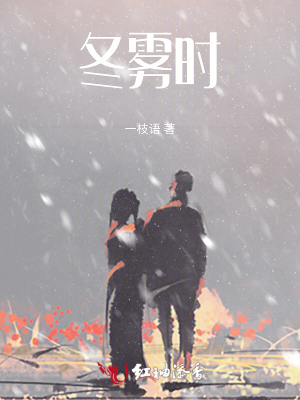 冬雾时小说封面