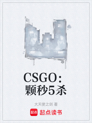 《CSGO：颗秒5杀》封面