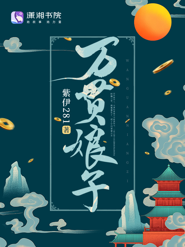 万贯娘子小说封面
