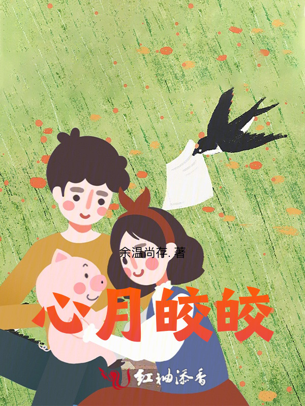 心月皎皎小说封面