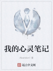 《我的心灵笔记》封面