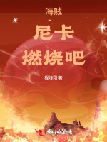 海贼：尼卡，燃烧吧！