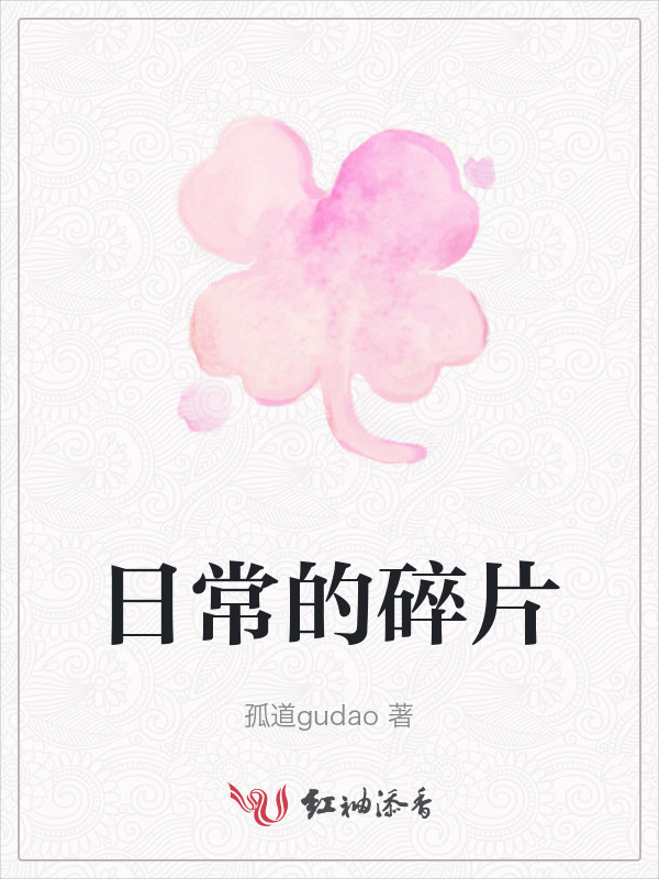 日常的碎片小说封面