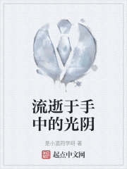 《流逝于手中的光阴》封面