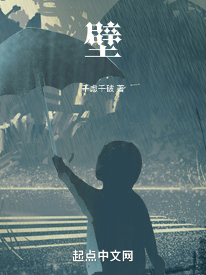 《壁》封面