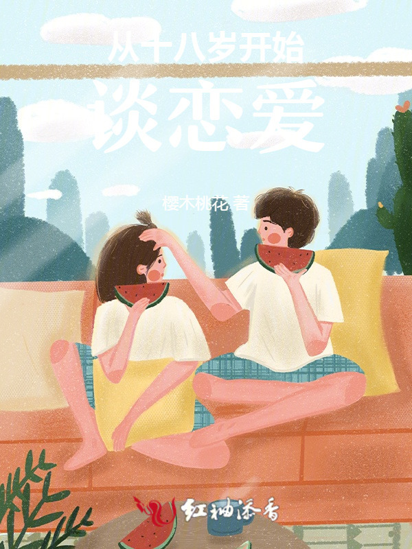 不柴时代小说封面