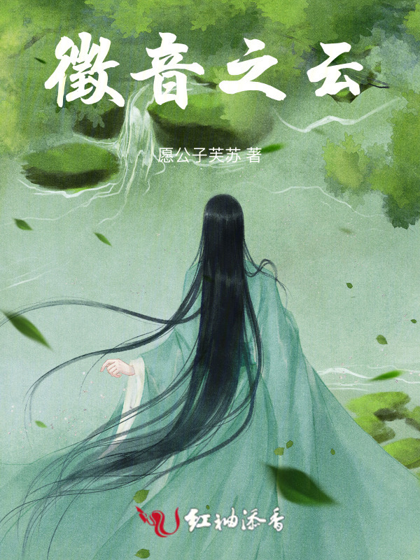 徵音之云小说封面