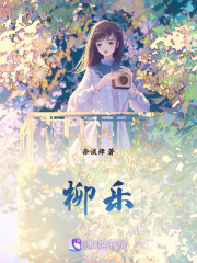 《柳乐》封面