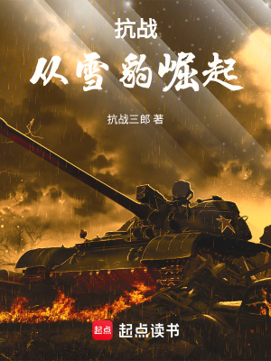 《抗战：从雪豹崛起》封面