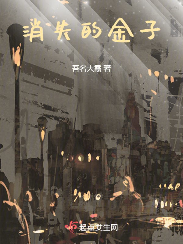 消失的金子小说封面