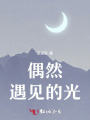 偶然遇见的光