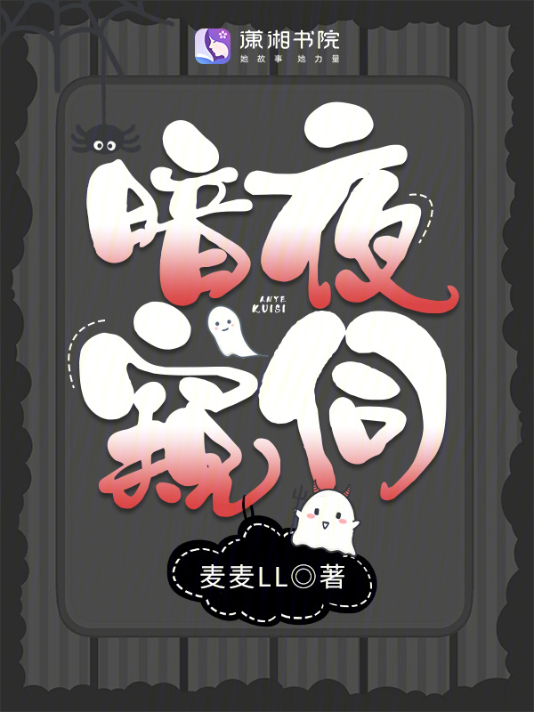 暗夜窥伺小说封面