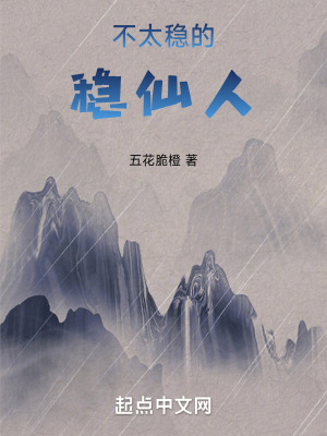 《不太稳的稳仙人》封面