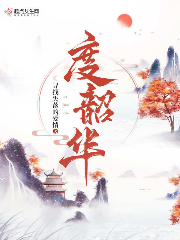 度韶华小说封面