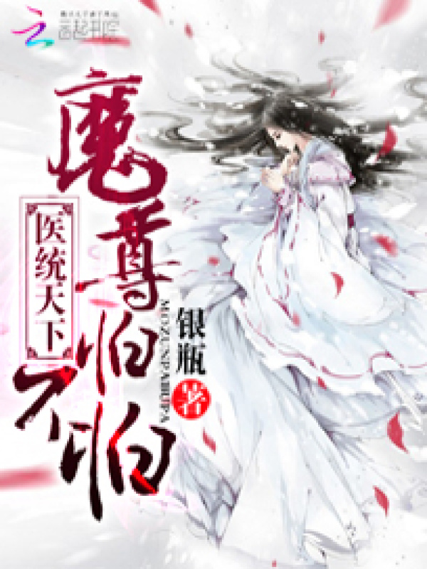 医统天下小说封面