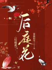 哪本書講述了郎君許清桉的情節(jié)？
