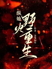關于小黃的內容在哪本小說里？
