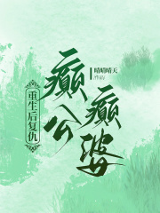  哪本书讲述了沈衍冯远皓徐昭的情节？