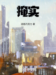 《掩实》封面