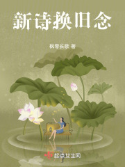 《新诗换旧念》封面